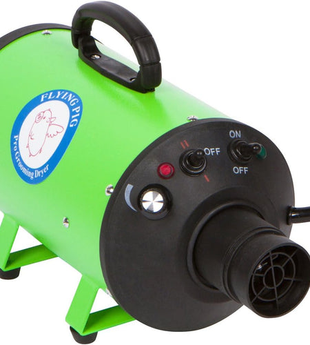 Flying Pig High Velocity Dog Pet Grooming Dryer W/Heater (Model: Flying One, Green)