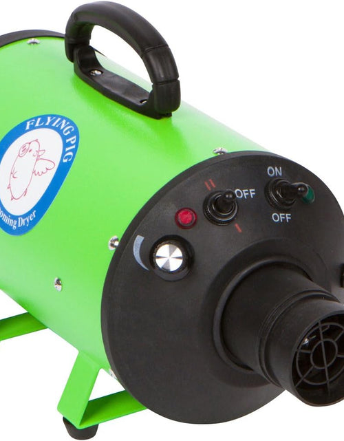 Load image into Gallery viewer, Flying Pig High Velocity Dog Pet Grooming Dryer W/Heater (Model: Flying One, Green)
